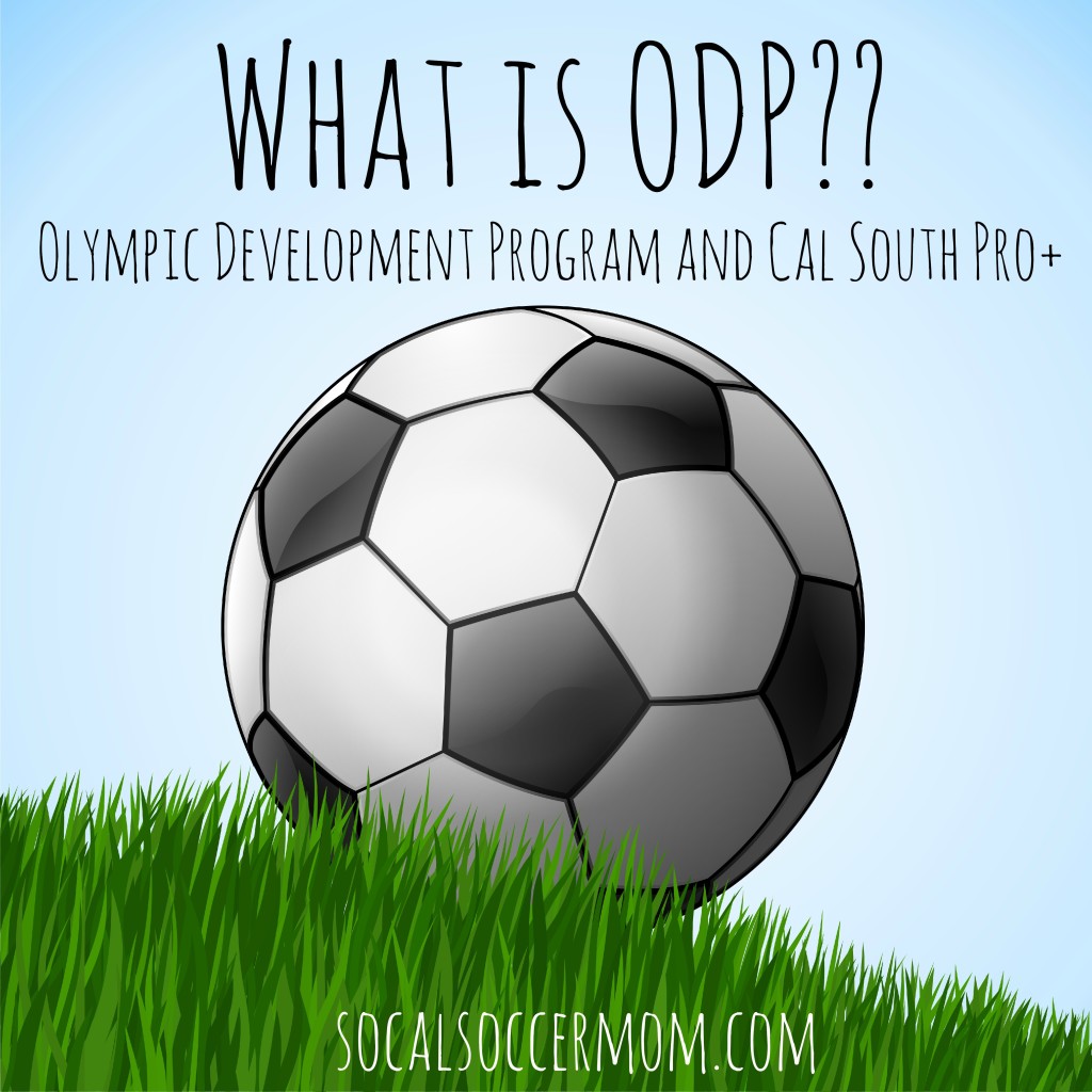 What Is ODP Olympic Development Program